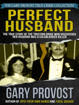 cover image of Perfect Husband